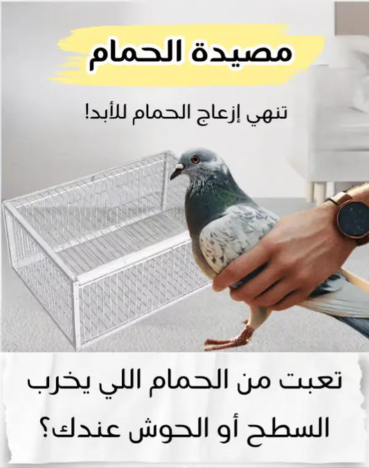 مصيده للحمام