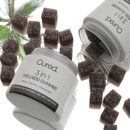 Gummies 3 in 1 : Shilajit - Ashwagandha - Sea Moss